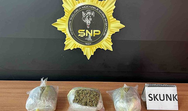 Şanlıurfa'da 1 kilo 600 gram skunk ele geçirildi