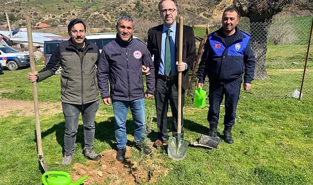 Sarıgöl'de 400 fıstık çamı toprakla buluştu