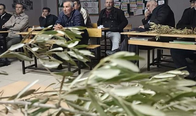 Sarıgöl'de zeytin budama kursu açıldı