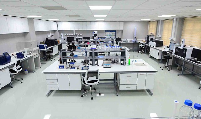 Selçuk zeytinyağına 'coğrafi işaret' formülü