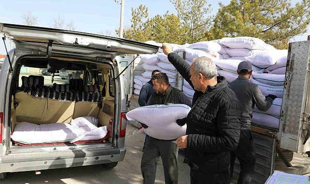 Seyitgazi bu sene yerli Azkan nohut tohumu ekecek