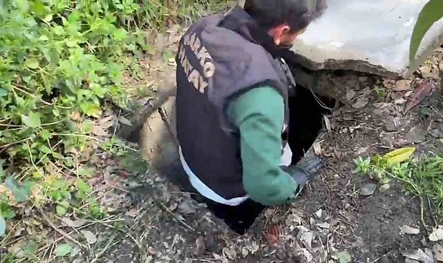 Sığınakta kurduğu sistemle kenevir yetiştirdi