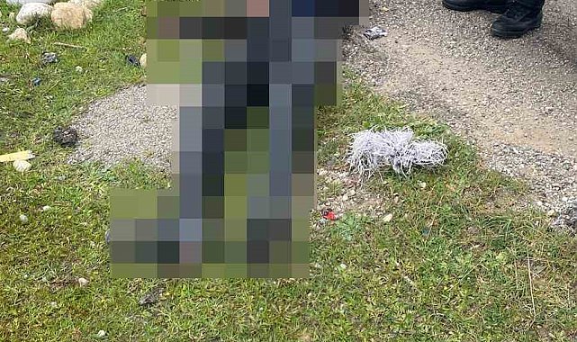 Siirt'te motosikletiyle kaza yapan üsteğmen hayatını kaybetti