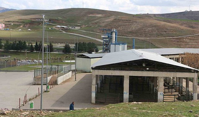 Siirt'te şap vakası yüzünden hayvan kesimi durduruldu