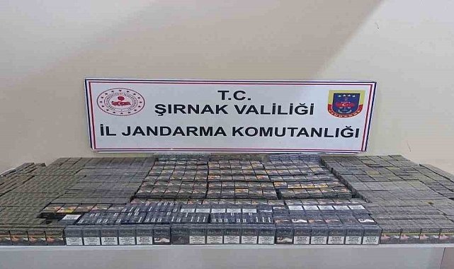 Şırnak'ta 880 bin TL değerinde kaçak malzeme ele geçirildi