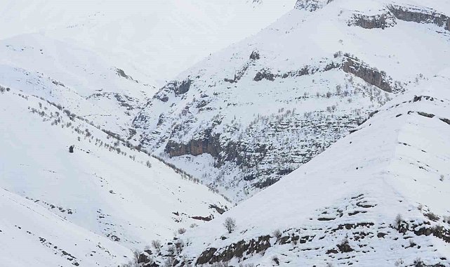 Şırnak'ta kar altında kalan Tanin Tanin Dağları havadan görüntülendi