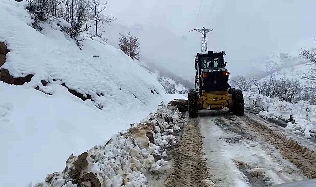 Şırnak'ta kar yağışı hayatı olumsuz etkiledi
