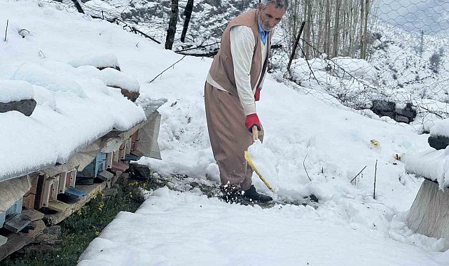 Şırnak'ta yalancı bahar, bal arılarını vurdu