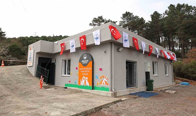 Sokak hayvanlarının mamaları artık bu tesiste üretilecek