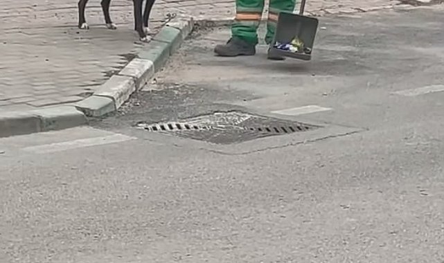 Sokak köpeğinin sırtını süpürge ile temizleyen görevli yüzleri gülümsetti