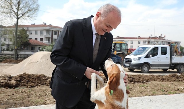Sokaklarda saldırgan köpek kalmayacak