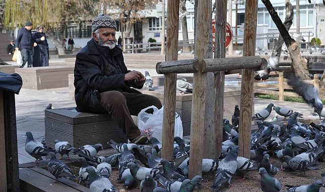 Sokaktaki kuşları yıllardır büyük bir özenle besliyor