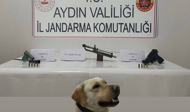 Sosyal medyadan yaptığı silah paylaşımı yakalattı