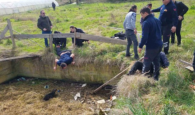 Sulama kanalına düşen köpeği kurtarmaya giderken boğulma tehlikesi geçirdi