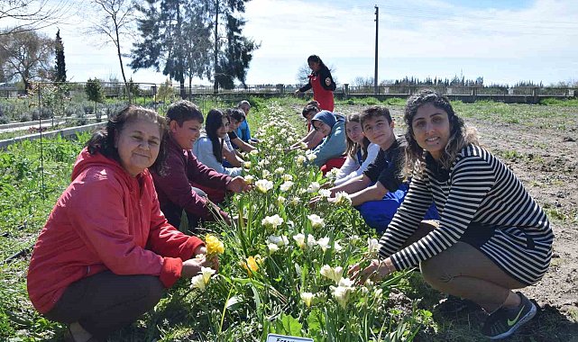 Tarım Lisesi öğrencileri ilk defa kesme çiçek yetiştirdi
