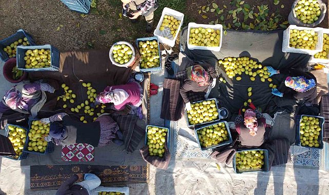 Tarımda üretici enflasyonu şubatta yüzde 58,29 oldu