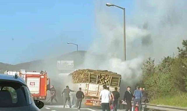 TEM'de ağaç yüklü tır alevlere teslim oldu
