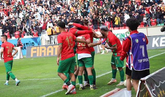 TFF 2. Lig: Amedspor: 4 - 24 Erzincanspor: 1