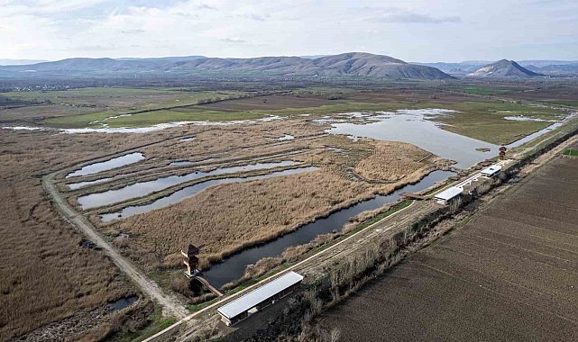Tokat'ta kuşların göç durağı yeniden canlanacak