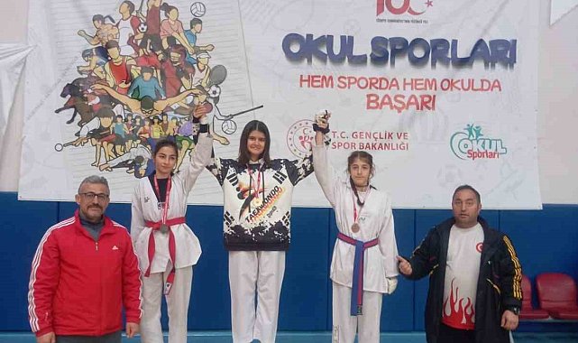 Tomarzalı gençler, Taekwondo Şampiyonası'nda dereceye girdi