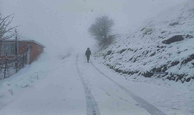 Tunceli'nin yüksek kesimlerinde kar yağışı etkili olmaya başladı