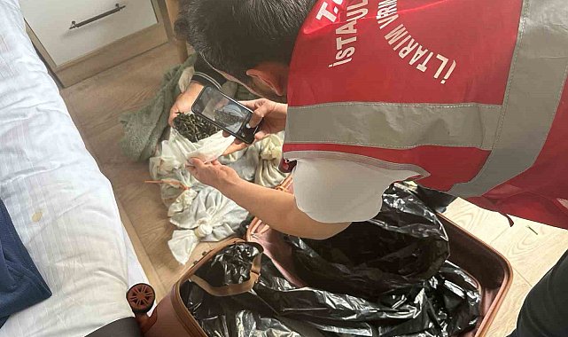 Türkiye'ye kaçak yolla getirilen yaklaşık 100 bin adet tıbbi sülük ele geçirildi