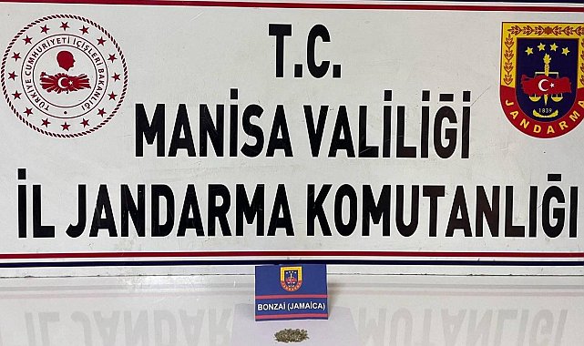 Üst aramasından bonzai çıktı