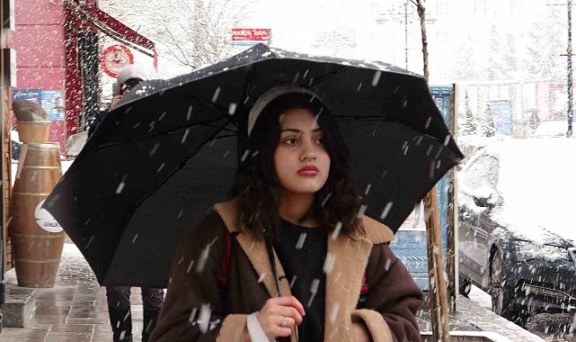 Van'da kar yağışı: 78 yol ulaşıma kapandı