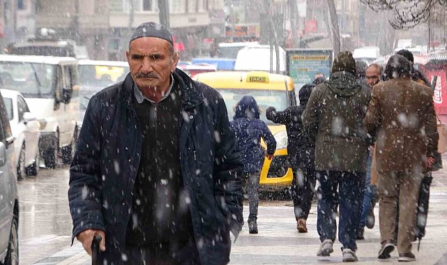 Van'da yoğun kar yağışı