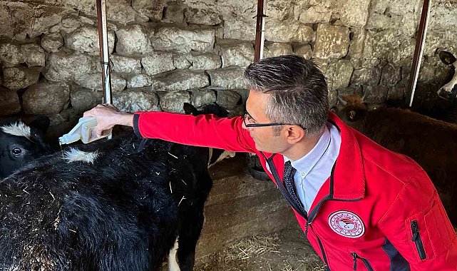 Yunusemreli hayvan üreticilerine antiparaziter preparat desteği