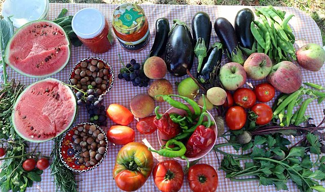 Yüzde 75 hibeli tarım desteği