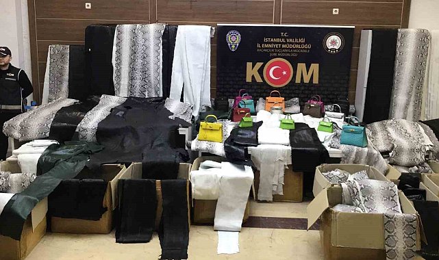Zeytinburnu'nda deri imalathanesine baskın: Binlerce kaçak yılan ve deve kuşu derileri ele geçirildi