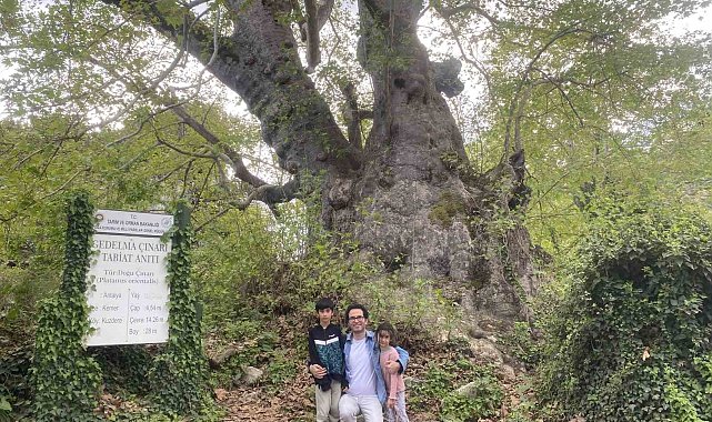 2 bin 700 yıllık çınar ziyaretçilerini bekliyor