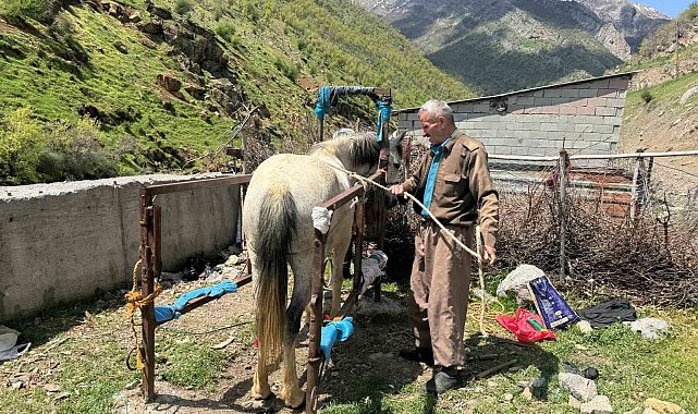 20 yıldır nalbantlık yapan usta, at ve katırların ayak bakımlarını yapıyor