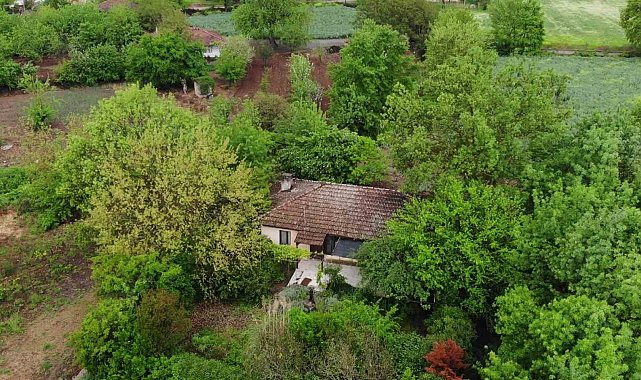 'Berzeg Sendromu' mahalleyi boşalttı