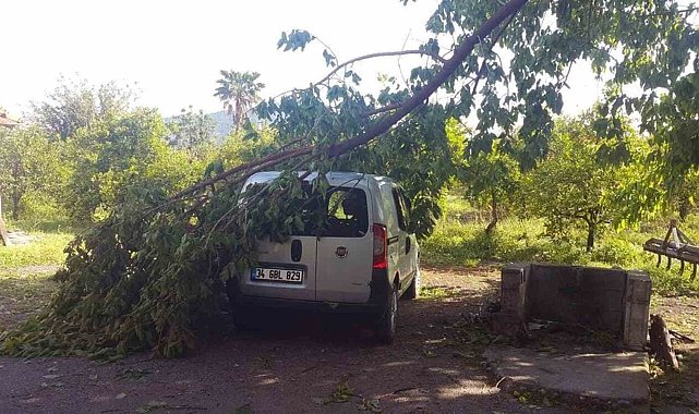 45 dakika yağdı, ağaçlar devrildi, çatı uçtu