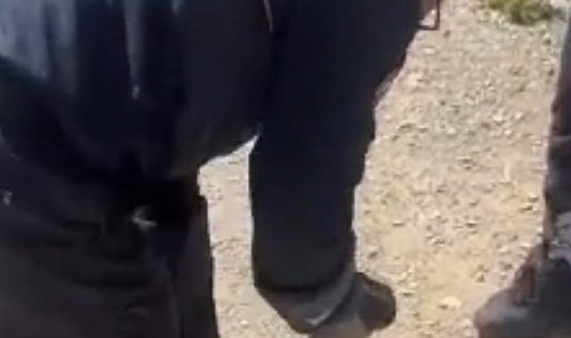 Adana'da yılan paniği