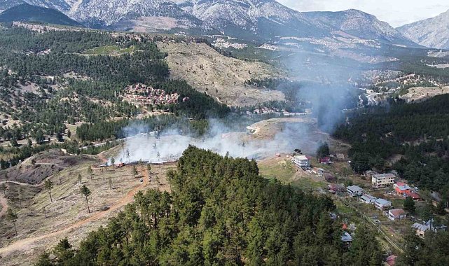 Adana&#039;daki orman yangını hızlı müdahaleyle söndürüldü