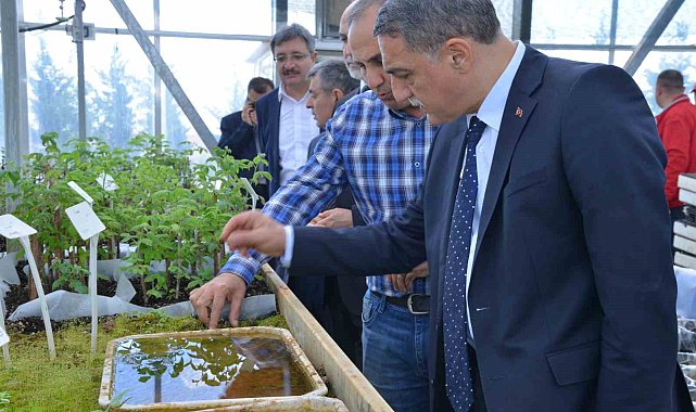 Ahi Evran Üniversitesi'nde 'Dut Bahçesi Tesisi Kurulum' Projesi Hayata Geçiriliyor