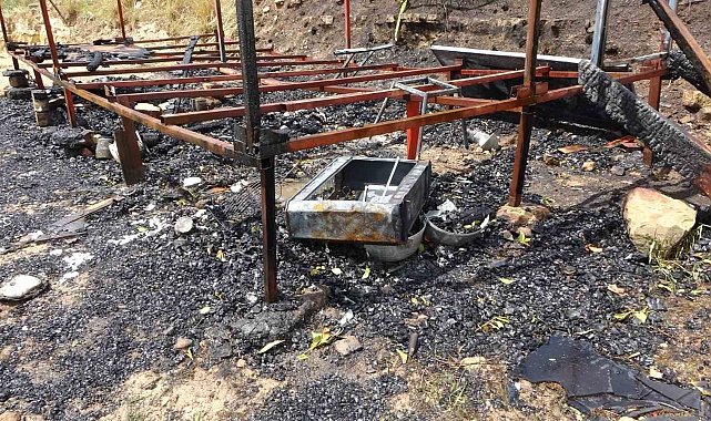 Ahşap barakada çıkan yangında 2 köpeği ile birlikte feci şekilde can verdi