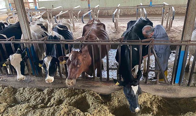 Akdeniz Üniversitesi, Antalyalıların gıda ihtiyaçlarını karşılayacak