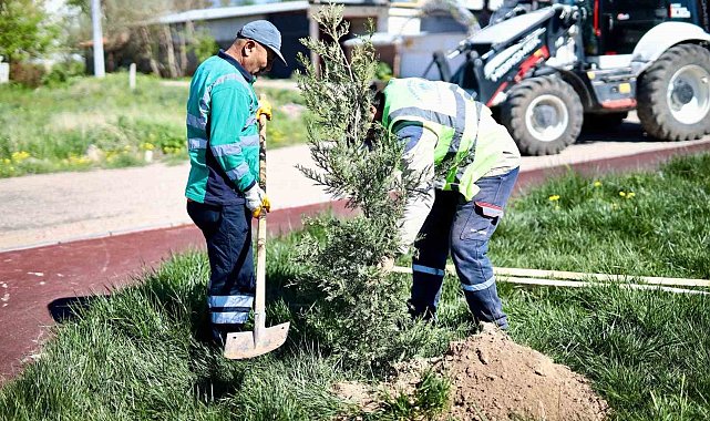 Aksaray&#039;da ağaç dikme seferberliği başlatıldı