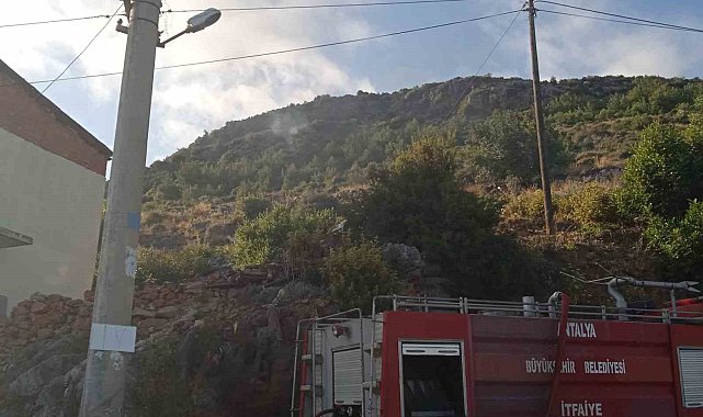 Alanya'da orman yangını
