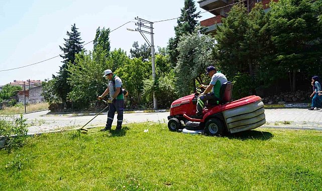 Altıeylül'de parklara bahar bakımı