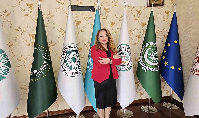 Ankara Sağlık Turizmi Federasyonu'ndan Afrika ülkeleriyle sağlık turizminde işbirliği açıklaması