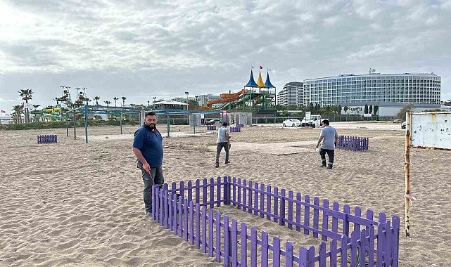 Antalya'da Kum Zambaklarına çitli koruma