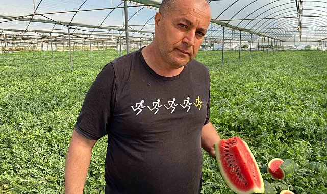 Antalya'daki sıcak havalar karpuz hasadını öne çekti