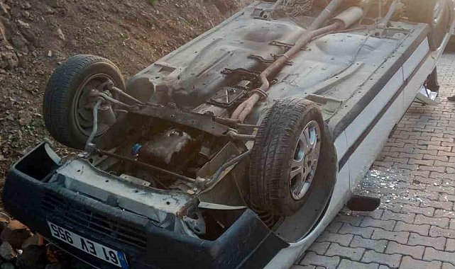 Araçtaki köpeği camdan dışarı çıkmak isteyince kaza yaptı: 1 yaralı