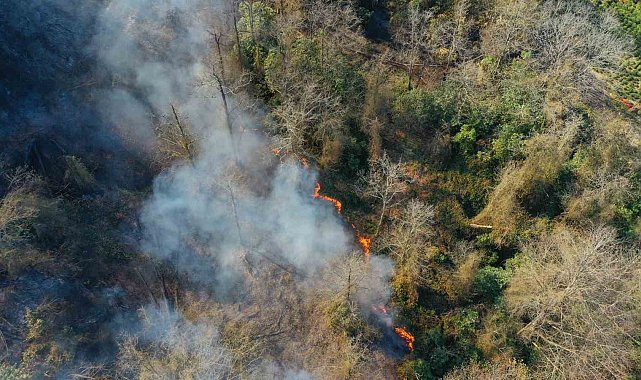 Artvin'de çıkan orman yangınında bir kişi gözaltına alındı