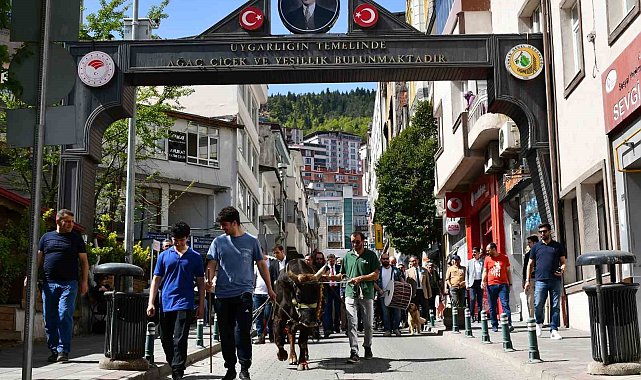 Artvin'de turizm haftası boğalı kortej yürüyüşüyle başladı
